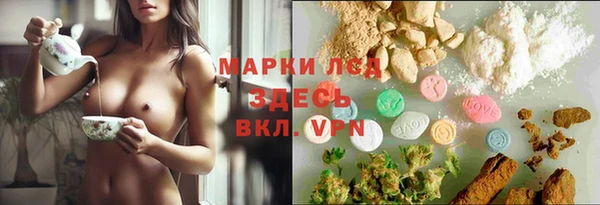 кокс Баксан